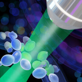 Breaking Boundaries in Phase Microscopy: Incoherent Light, Ultimate Precision