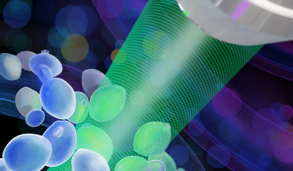 Breaking Boundaries in Phase Microscopy: Incoherent Light, Ultimate Precision DHM Cover Optica