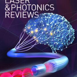 All-fiber polarization microsensing at the single-photon level