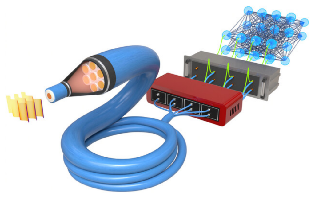 Scheme of the all-fiber polarization microsensor.